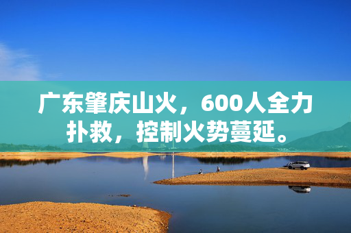 广东肇庆山火，600人全力扑救，控制火势蔓延。