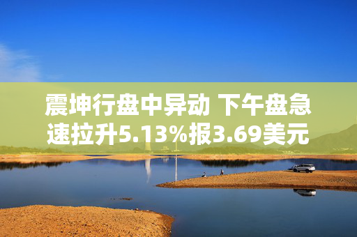 震坤行盘中异动 下午盘急速拉升5.13%报3.69美元