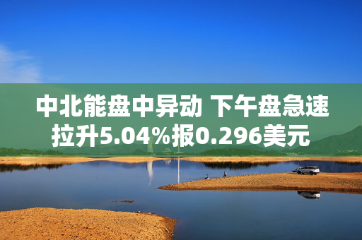 中北能盘中异动 下午盘急速拉升5.04%报0.296美元