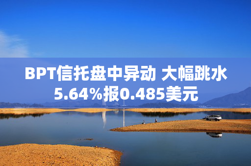 BPT信托盘中异动 大幅跳水5.64%报0.485美元