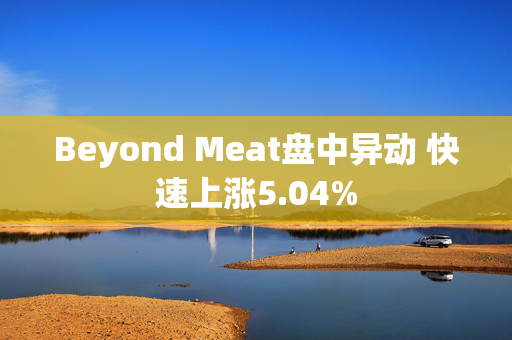 Beyond Meat盘中异动 快速上涨5.04%