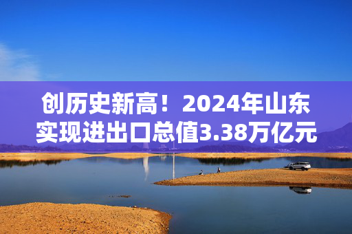 创历史新高！2024年山东实现进出口总值3.38万亿元