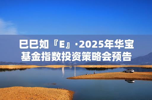 巳巳如『E』·2025年华宝基金指数投资策略会预告