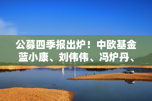 公募四季报出炉！中欧基金蓝小康、刘伟伟、冯炉丹、钱亚婷操作及观点来了