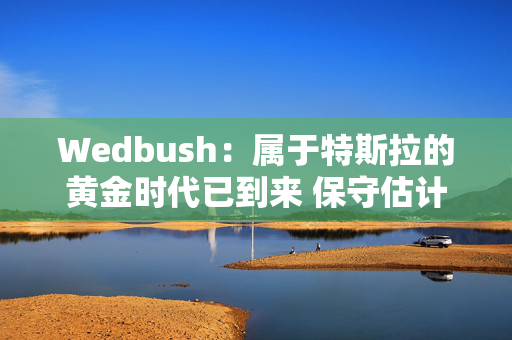 Wedbush：属于特斯拉的黄金时代已到来 保守估计破550美元