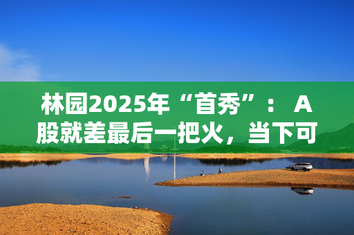 林园2025年“首秀”： A股就差最后一把火，当下可以满仓睡觉，好好过年