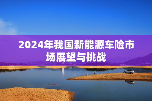 2024年我国新能源车险市场展望与挑战