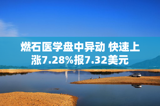 燃石医学盘中异动 快速上涨7.28%报7.32美元