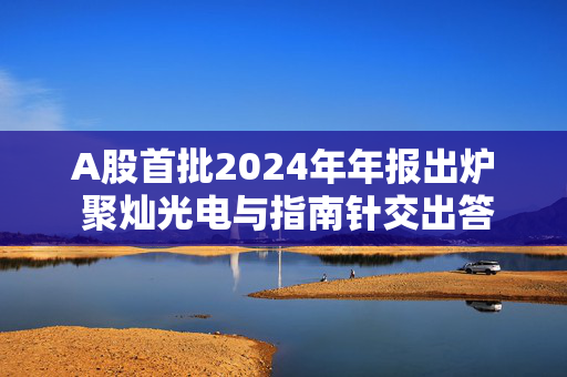 A股首批2024年年报出炉 聚灿光电与指南针交出答卷