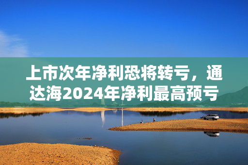 上市次年净利恐将转亏，通达海2024年净利最高预亏6500万元