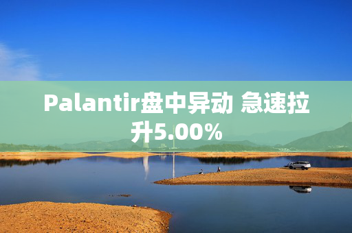 Palantir盘中异动 急速拉升5.00%