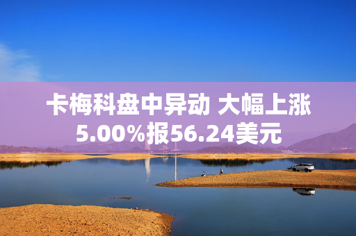 卡梅科盘中异动 大幅上涨5.00%报56.24美元