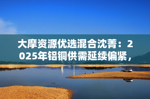 大摩资源优选混合沈菁：2025年铝铜供需延续偏紧，上行空间或仍存