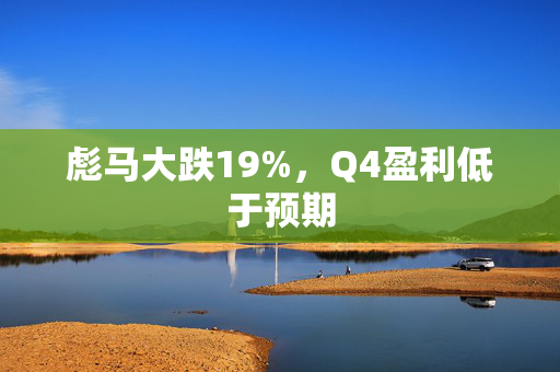 彪马大跌19%，Q4盈利低于预期