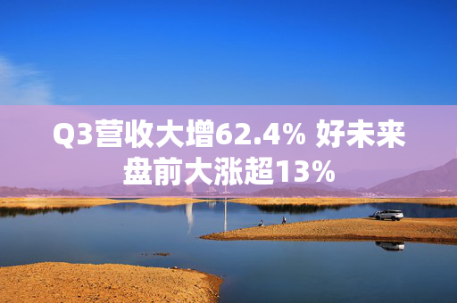 Q3营收大增62.4% 好未来盘前大涨超13%