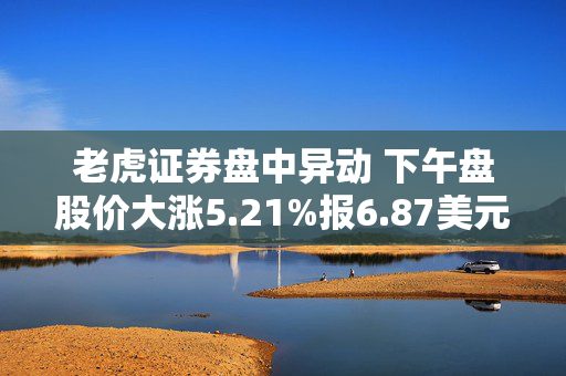 老虎证券盘中异动 下午盘股价大涨5.21%报6.87美元