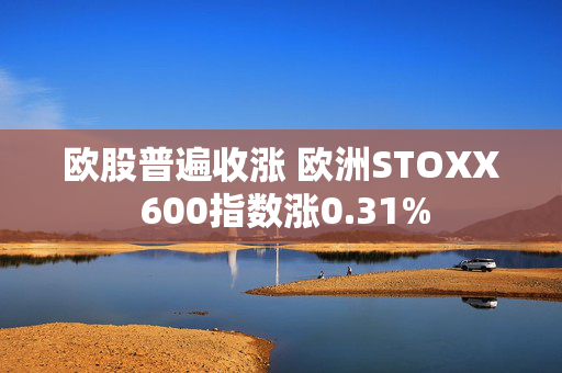 欧股普遍收涨 欧洲STOXX 600指数涨0.31%