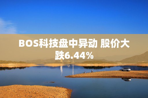 BOS科技盘中异动 股价大跌6.44%