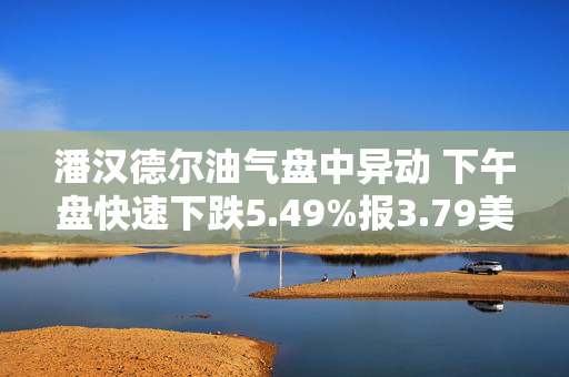 潘汉德尔油气盘中异动 下午盘快速下跌5.49%报3.79美元