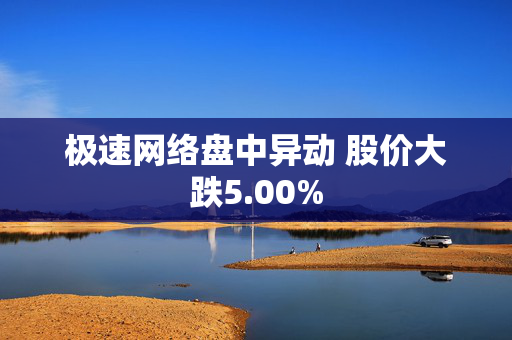 极速网络盘中异动 股价大跌5.00%