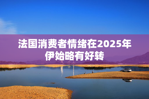 法国消费者情绪在2025年伊始略有好转