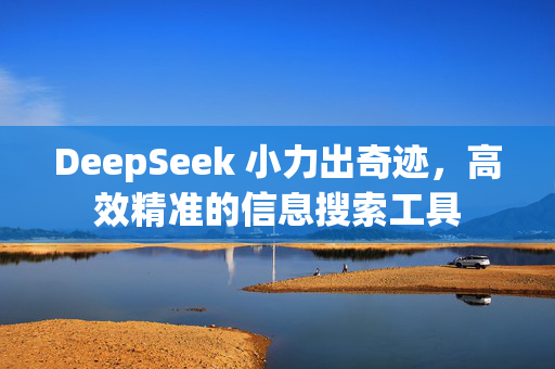 DeepSeek 小力出奇迹，高效精准的信息搜索工具