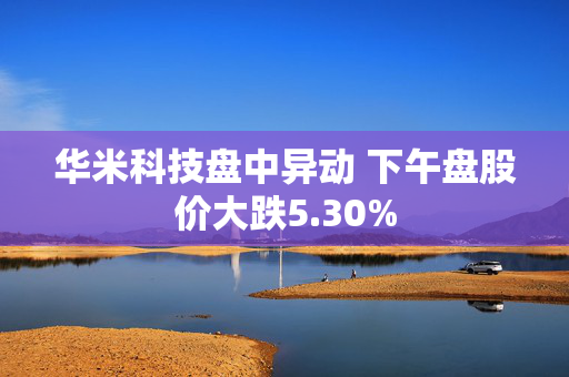 华米科技盘中异动 下午盘股价大跌5.30%