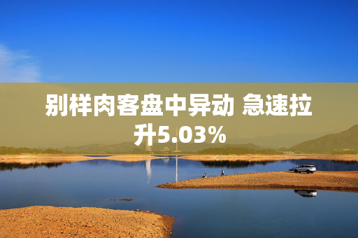 别样肉客盘中异动 急速拉升5.03%