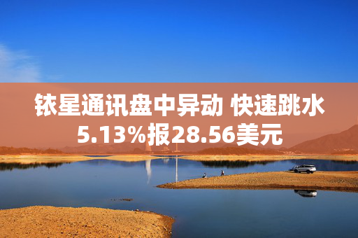 铱星通讯盘中异动 快速跳水5.13%报28.56美元