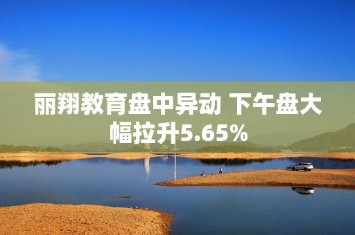 丽翔教育盘中异动 下午盘大幅拉升5.65%