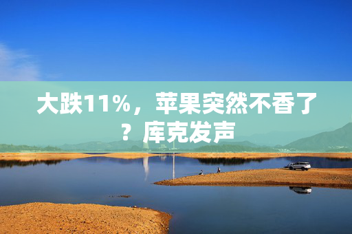 大跌11%，苹果突然不香了？库克发声