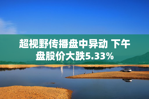 超视野传播盘中异动 下午盘股价大跌5.33%