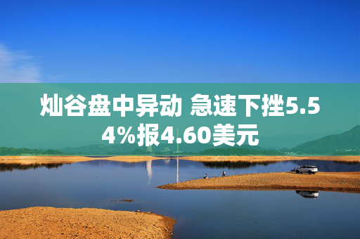 灿谷盘中异动 急速下挫5.54%报4.60美元