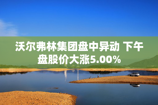 沃尔弗林集团盘中异动 下午盘股价大涨5.00%