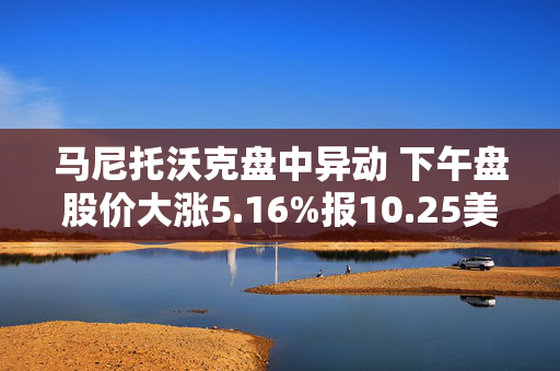 马尼托沃克盘中异动 下午盘股价大涨5.16%报10.25美元