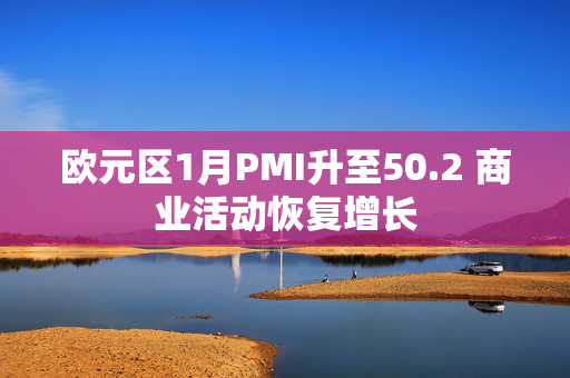 欧元区1月PMI升至50.2 商业活动恢复增长