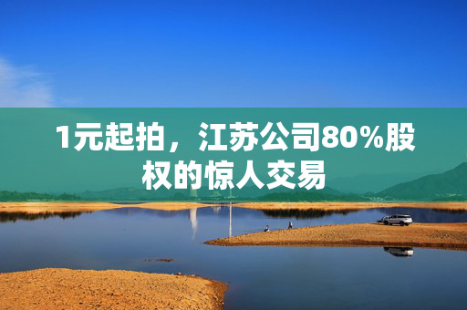 1元起拍，江苏公司80%股权的惊人交易