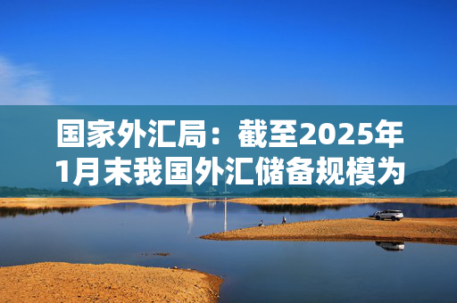 国家外汇局：截至2025年1月末我国外汇储备规模为32090亿美元