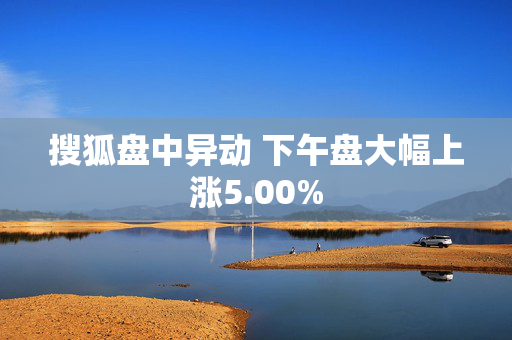 搜狐盘中异动 下午盘大幅上涨5.00%