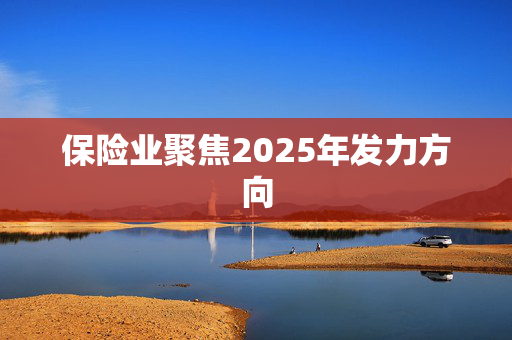 保险业聚焦2025年发力方向