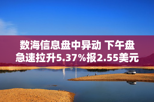 数海信息盘中异动 下午盘急速拉升5.37%报2.55美元