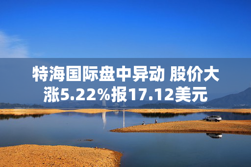 特海国际盘中异动 股价大涨5.22%报17.12美元