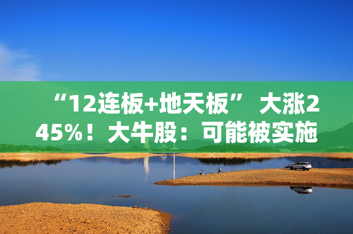 “12连板+地天板” 大涨245%！大牛股：可能被实施退市风险警示！