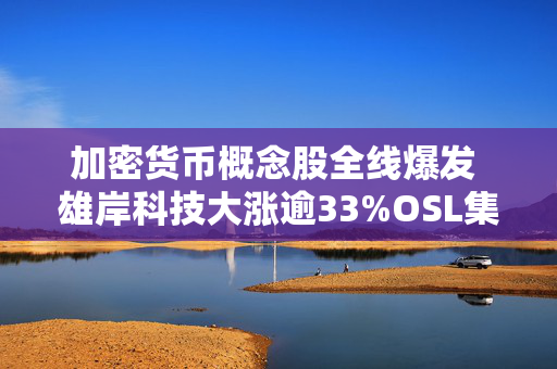 加密货币概念股全线爆发 雄岸科技大涨逾33%OSL集团涨超11%