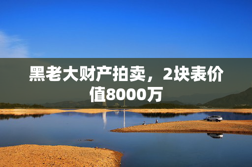 黑老大财产拍卖，2块表价值8000万