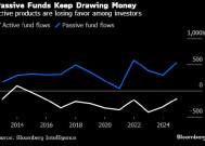 指数基金2024年吸金5,000亿美元 重燃华尔街对被动投资的争论