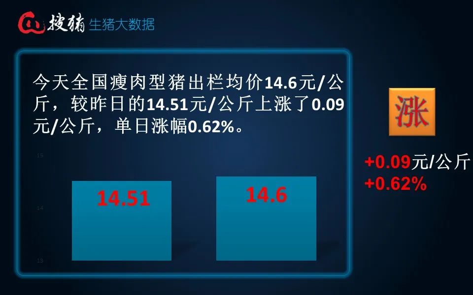 生猪现货日报|全国均价15.91元/公斤 受供需博弈调整短时猪价或有偏弱调整可能 但幅度有限