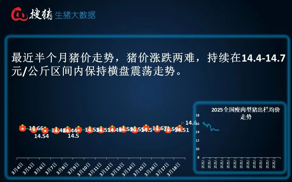 生猪现货日报|全国均价15.91元/公斤 受供需博弈调整短时猪价或有偏弱调整可能 但幅度有限