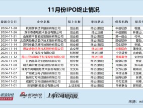 IPO月报|红四方上市首日股价暴涨19倍背后依赖控股股东 华泰联合两家“钉子户”项目终于撤单